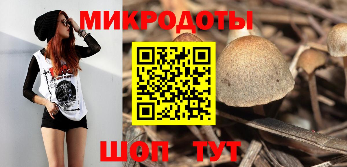 Псилоцибиновые грибы Cubensis Барнаул