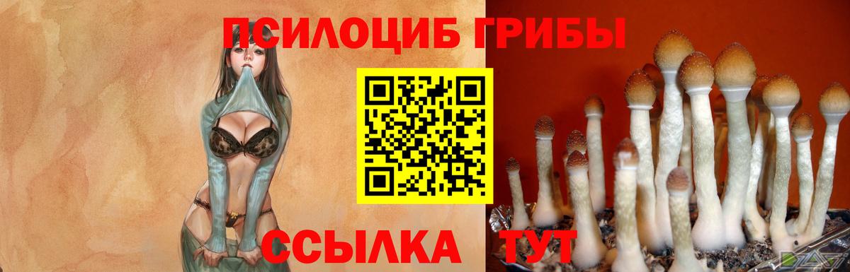 Галлюциногенные грибы Magic Shrooms  Вход с VPN  Барнаул  Галлюциногенные грибы Psilocybe 